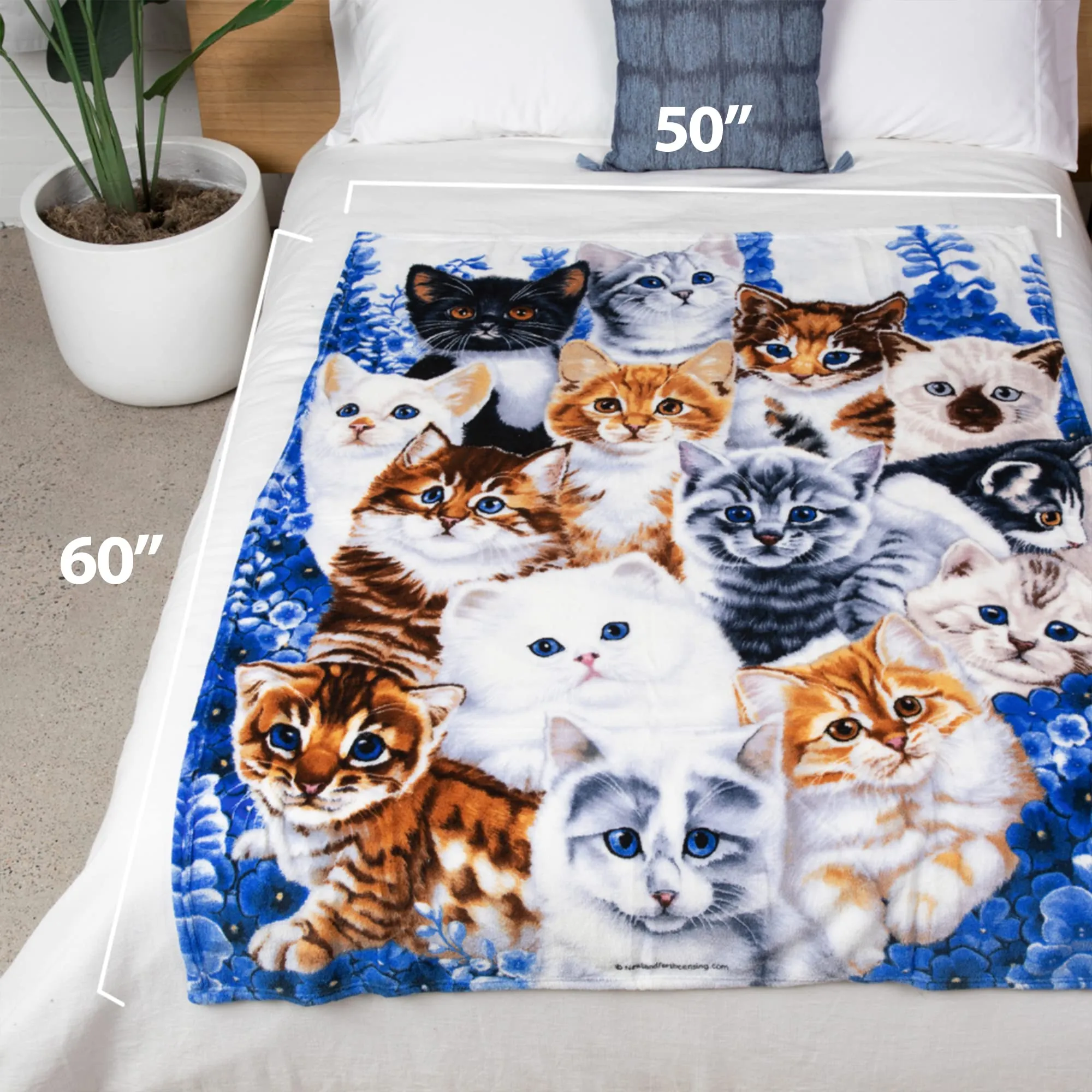 Collage Kitten Fleece Blanket For Bed, 50" X 60" Cute Fleece Throw Blanket