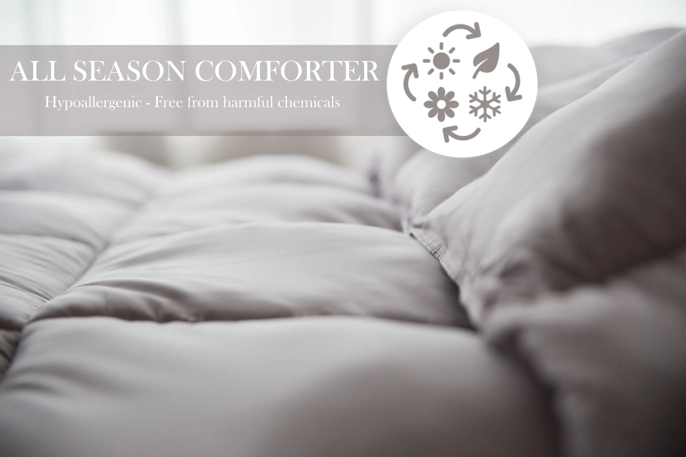 Pillowtex Dream in Color Comforter | All Season Weight with Soft Polyester Cover and Fill