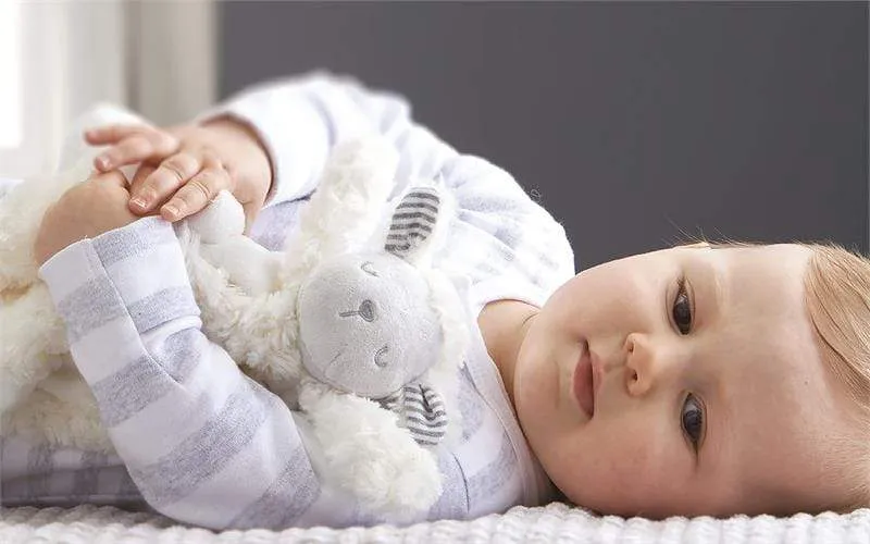 Silvercloud Counting Sheep Comforter